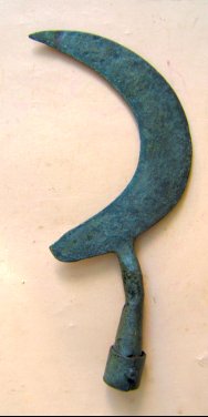 gorget back