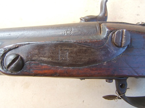 A VERY GOOD PERCUSSION CONVERTED FRENCH & INDIAN/REVOLUTIONARY WAR PERIOD AMERICAN-MADE/NEW ENGLAND MUSKET-BORE CARBINE/FOWLER, ca. 1750 (Ex. WILLIAM GUTHMAN COLLECTION?) 4